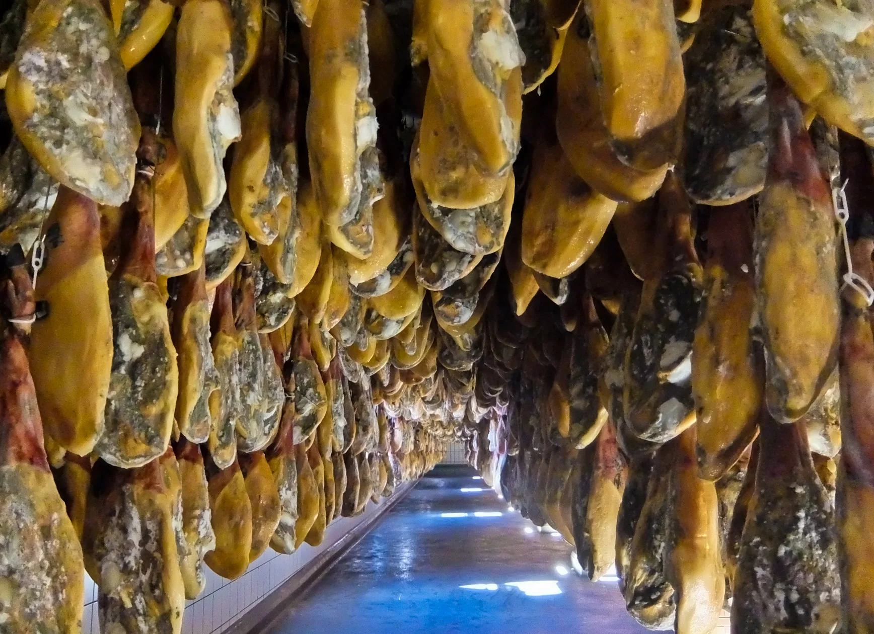 ham cellar - CJ China