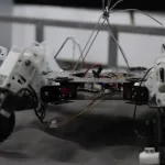 每年有3万名外国游客来武当山学习功夫。