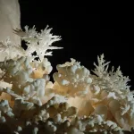 Meta携手Castle Journal参观埃及大博物馆，邀请人们探索丰富的历史