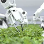 北京故宫博物院举办米诺斯文明展