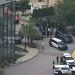 埃及外交部呼吁国际社会采取紧急行动，阻止以色列在加沙地带不断升级的军事行动