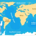 美国总统特朗普警告俄罗斯入侵爱沙尼亚领空“可能带来大麻烦”