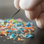 “钙钛矿相机”助力医学新突破，透视人体内部