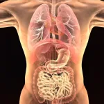 气候变化导致致命雾霾：到2050年，野火烟雾每年可能导致7万美国人死亡