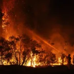 科学家揭示过量饮酒如何引发脂肪肝